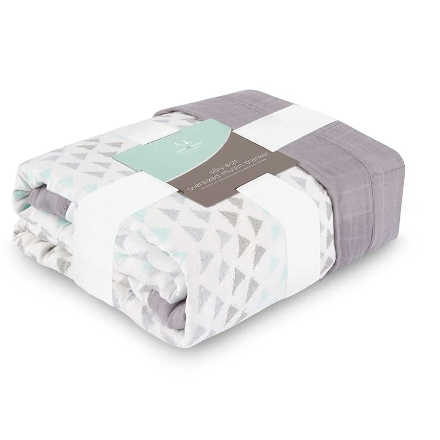 Aden Anais Silky Soft DayDream Blanket