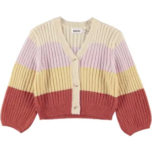 Gia Earth Stripe Cardigan  - FINAL SALE